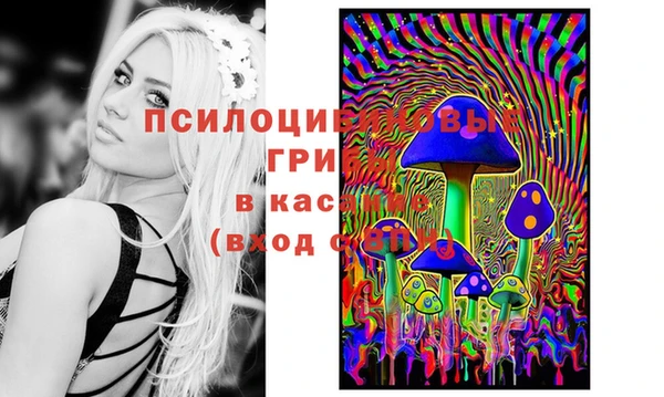 ешки Лиски