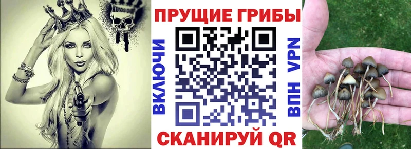 Галлюциногенные грибы Magic Shrooms  Тбилисская 